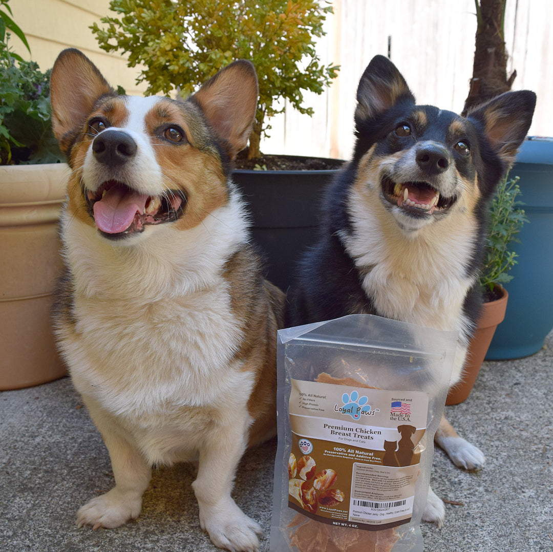 Chicken Jerky Dog Treats - Loyal Paws