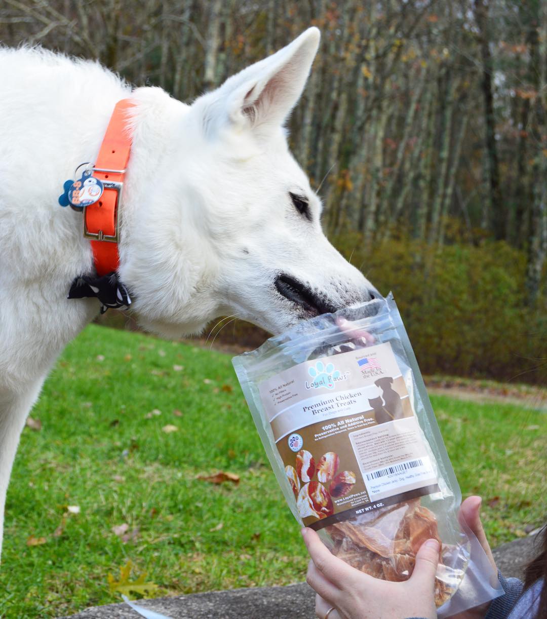 Chicken Jerky Dog Treats - Loyal Paws