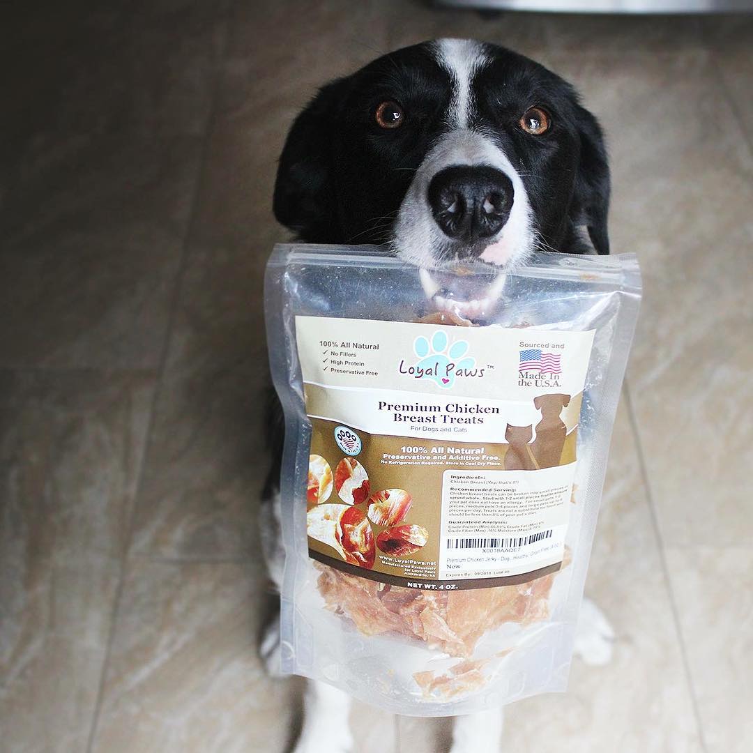 Chicken Jerky Dog Treats - Loyal Paws